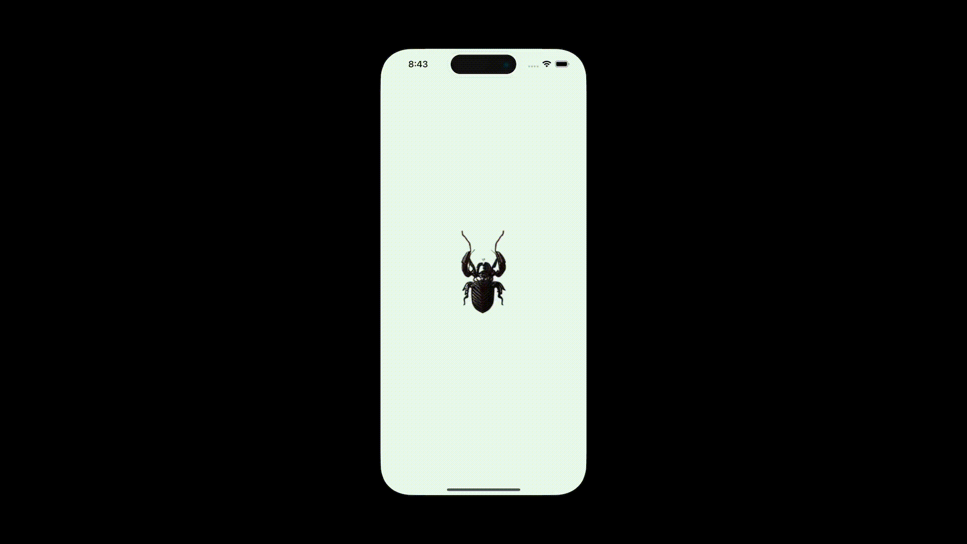 compressed-bug-movement.mov